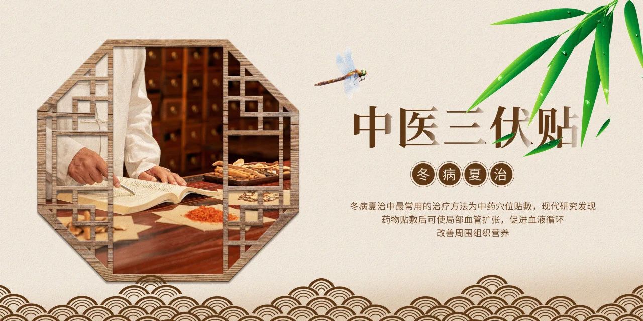 眼睛也需要“三伏貼”？